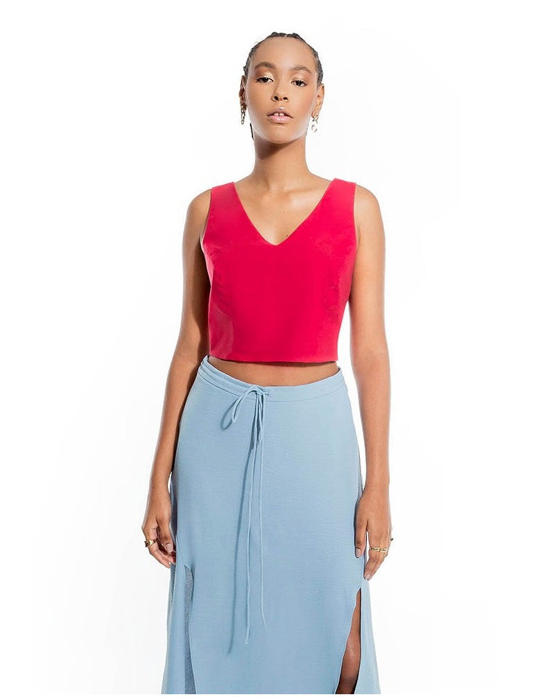 Raspberry Top Ana