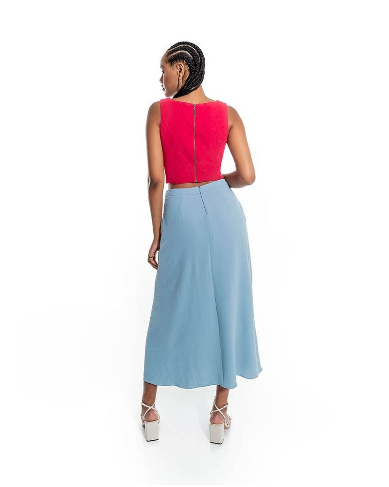 Raspberry Top Ana